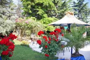 Dunav Hotel - Image 2