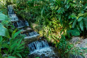 Finca Hotel Paraiso Terrenal - Image 3