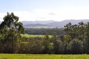 Tallawarra B&B - Image 3