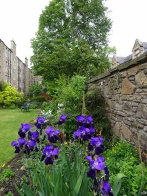 3 Bedroom Stockbridge Apartment - Image 4
