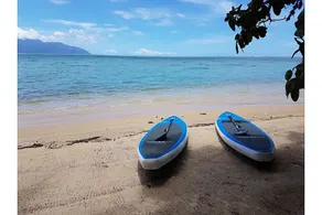 Motu Mapeti - Tahiti Private Island - Image 2