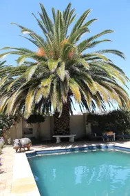 Stellendal Guest House - Image 3