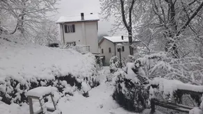 Guest House Drago Bianco - Image 5