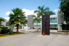 Apt In Playacar Very Close To The Beach And 5th Av - Image 5