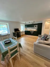 New Newly Renovated Apartment Palleusieux - Image 2