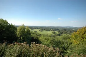 The Woodland Cottage - Image 3