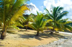 Le Mer Ocean Front Villas - Image 4