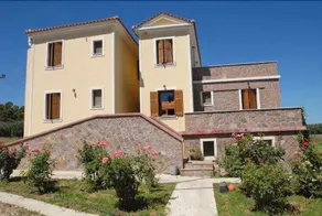 Olive Grove - Image 3