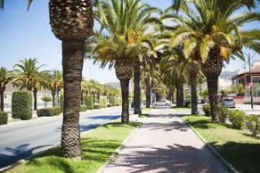 Suncity Dúplex La Rosaleda - Image 5