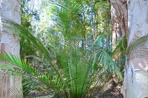 Jervis Bay Cabins & Camping - Image 3