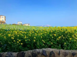 Long Island Guesthouse - Image 4