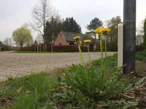 Lovely Holiday Home in Valkenswaard near Forest - Image 4