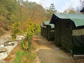 Camp Pine Riviera - Image 3