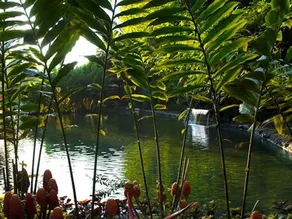 The Aura Shanti Retreat - Image 5