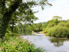 Evergreen - Image 5