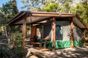 Binna Burra Rainforest Campsite - Image 4