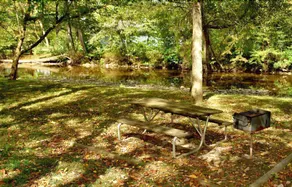 Take Me Fishing on Cosby Creek - 2 Br Cabin - Image 5