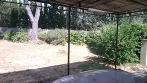 La Petite Maison sous les Pins - Image 2