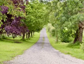 Belvoir Lodge - Image 5