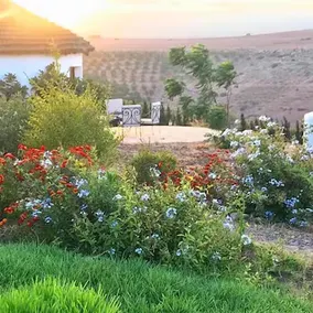 Safa Boulaouane Eco-Lodge - Image 4