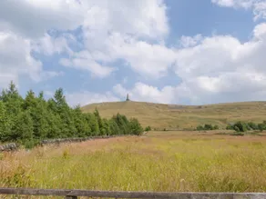 Colden Water - Image 3