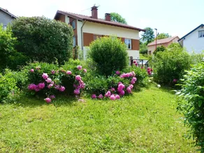 Studio confortable avec vue sur le lac - 30 m² - Gérardmer - Image 2