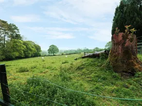 Cefn Bryn Farm & Cottages - Image 4
