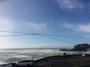 Bay Echo - Image 3