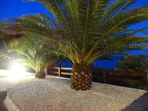 Villa am Meer fuer 12 Personen mit Pool - Image 4