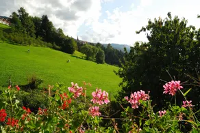 Huber zu Dorf - Image 3