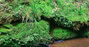 Stokers Lodge - Image 3