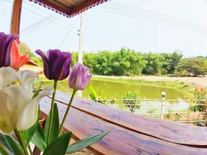 Modern Loft Homestay - Image 2