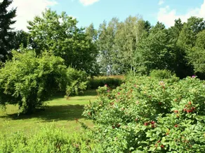 Holiday Home in Froidchapelle With Garden - Image 4