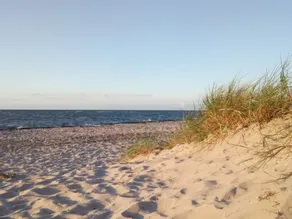 Delightful Holiday Home in Rerik Near the Sea - Image 2