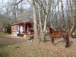 Camping de Maillac - Chalets - Image 3