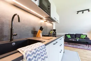 Apartmenthaus Hietzing - Image 5