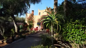 Riad Baoussala - Image 3