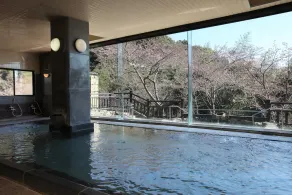 Shigisan Kanko Hotel - Image 5