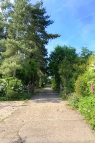 The Orangery Bed & Breakfast - Image 4