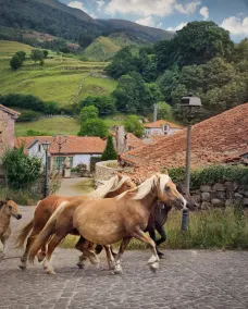 La Infinita Rural Boutique - Image 3
