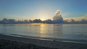 Miami Beach Resort & Spa - Image 3