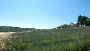 La Bastide De Voulonne - Image 3