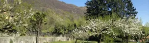B&B Le Oche Di Bracchio - Image 5