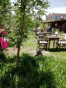 Dodo House Bodrum - Image 2