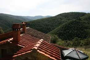 Tribbiano - Image 3