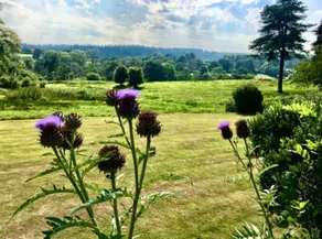 Valley View Farm Bed & Breakfast - Image 5