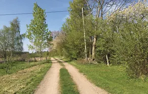 Awesome Home in Fjälkinge With 1 Bedrooms and Wifi - Image 5