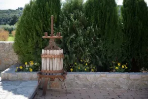 Traditional Guest House Grandma Vitsa in Ermioni - Image 4