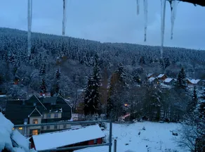Schierker Waldperle - Image 3