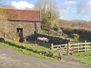 Virvale Barn - Image 2